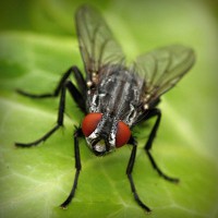 /album/snobhaidido/photolia-a01-jpg/