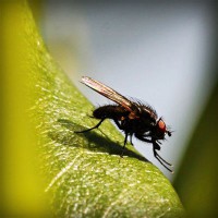 /album/snobhaidido/photolia-a04-jpg/