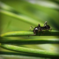 /album/snobhaidido/photolia-a05-jpg/