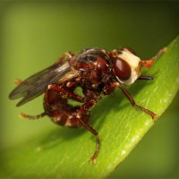 /album/snobhaidido/photolia-a06-jpg/