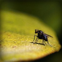 /album/snobhaidido/photolia-a07-jpg/